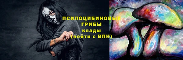 стафф Елизово