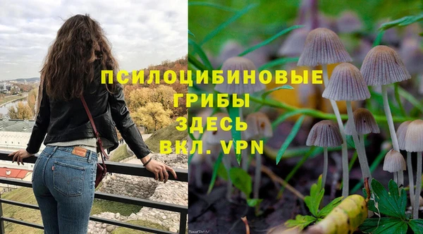 стафф Елизово