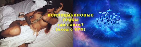 стафф Елизово