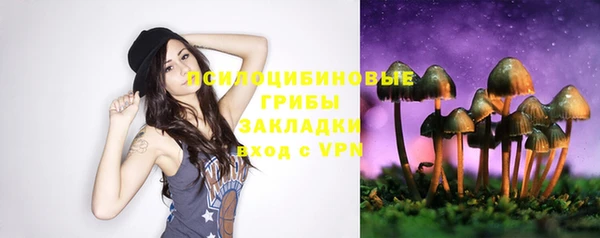 стафф Елизово