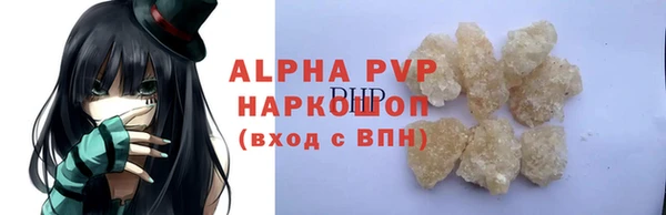 стафф Елизово