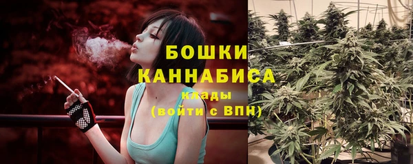 стафф Елизово