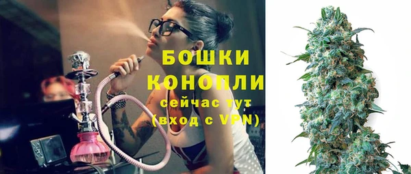 стафф Елизово